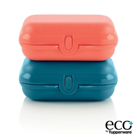 ECO+ OYSTER CONTAINER - SMALL SET OF 2